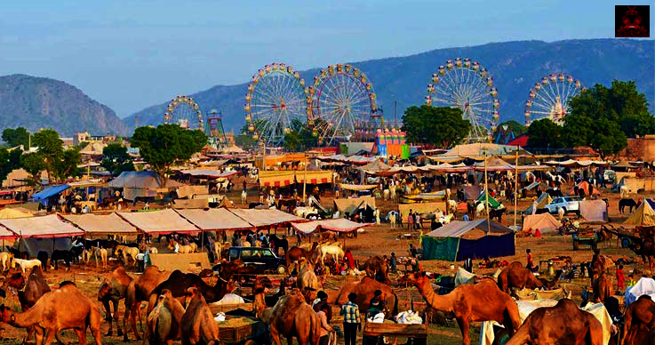 pushkar fair 2